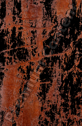 Rusted Decals